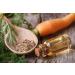 Pure Carrot Seed Oil - 100% Natural Cold Pressed Carrier Oil | Therapeutic Grade Extra Virgin for Skin Body & Hair Care | 4 oz by Organic Pure Oil - Buy Online on GoSupps.com
