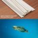 Biodegradable Bamboo Fiber Straws - 200 PCS 7.8'' | Compostable Eco-Friendly Drinking Straws | Durable for Hot & Cold Drinks - Buy Online on GoSupps.com