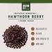 Hawthorn Berries, by Herb Co, Whole Dried, For Teas, Jams, Syrups & Herbal Wellness, Antioxidant-Rich Haws, 1 lb - Buy Online on GoSupps.com