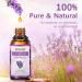 Aeshory 100% Pure Lavender Oil 30ml - Natural Essential Oil for Aromatherapy Massage Sleep Aid & Cosmetics - Buy Online on GoSupps.com