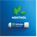 Vicks Inhaler - Fast Relief for Cold and Cough in Adults & Children 6+ | Decongestant with Menthol, Camphor, and Pine Needle Oil - Buy Online on GoSupps.com