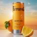  Ferrarelle Ferrarelle Orange 12 boxes x 0.250 L - Buy Online on GoSupps.com
