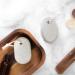 Buy Bimsstein Foot Care Set - Corn Skin Remover & Pedicure Tool (2 Pieces) for Hands & Feet - Hard Skin Removal | Natural Stone Solution - Buy Online on GoSupps.com