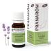 PRANAROM therisches l 10 ml Lavande vraie