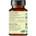 Turmeric Extract 500mg - 60 Vegetarian Capsules | Haldi Extract | Curcuma Longa | All Natural | 100% Vegan | Gluten-Free. Turmeric 1 Count (Pack of 1) - Buy Online on GoSupps.com