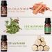 Men's Essential Oils Set - 6 Manly Fragrance Oils for Home Diffusers - Frankincense, Teakwood, Sandalwood, and More - Aromatherapy & Candle Making - Buy Online on GoSupps.com