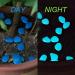 Halcyerdu 200 Bright Fluorescent Pebbles - Blue Night Light Stones for Aquarium & Garden Decoration - Buy Online on GoSupps.com