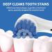 Oral B Electric Toothbrush Soft Bristle Replacement Heads - Gentle & Sensitive Gums - 8 Count with Hygienic Covers - Compatible with Oral B - Sensitive Clean (1 Pack) - Buy Online on GoSupps.com