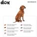 Ddoxx Dog Leash - Reflective Nylon Bite-Proof Roller Break & Lock System 4m for Dogs Up to 10kg - Blue - Buy Online on GoSupps.com