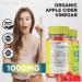 Life Source Keto Gummies with Apple Cider Vinegar - Advanced Weight Loss Supplement (60 Gummies) - Buy Online on GoSupps.com