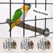 5-Piece Natural Twig Parrot Toys Set for Small to Medium Birds - Ideal for Macaws, Budgies, Lovebirds, Finches - Perching Wood Sticks - Buy Online on GoSupps.com