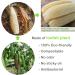 Large All Natural Loofah Sponge for Exfoliating Body Scrub - 100% Biodegradable and Reusable - Ideal for Kids, Men, Women, and Dishes - Organic Loofah for Soap Making - Buy Online on GoSupps.com