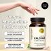 Future Kind Vegan Calcium Supplement - Plant-Based Capsules for Teeth and Bone Support - Iceland Sourced Calcium Magnesium - For Women & Men - Buy Online on GoSupps.com