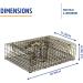 Protoco CT18R 11x18 Mesh Crawfish and Shrimp Trap - Freshwater & Saltwater Cage Style Fishing - Black - Buy Online on GoSupps.com