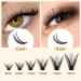 Premium 50D Individual False Eyelashes - 0.07D Curl 8-14mm Mix Reusable DIY Cluster Lashes for Flawless Eye Makeup - Buy Online on GoSupps.com