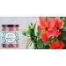Green Velly Organic Infinity Hibiscus Flower Powder For Hair Growth Hair Care Natural Hair and Face Care - 100 GM by Organic Infinity - Buy Online on GoSupps.com