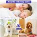 Buy 2-Piece Dog Brand Bag with Push Button & Military Dog ID Silencer Ring - Blue Paw Print & Purple Blue - Ideal for Dogs & Cats - Secure Identification & Address Tags - Buy Online on GoSupps.com