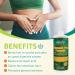 Aloe Life Stomach Plus Formula - Fast-Acting Digestive Tonic - 32oz Concentrate - Gluten-Free - Buy Online on GoSupps.com