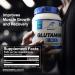 CONFIDENT SPORTS - 100% Pure Micronized Pharmaceutical Grade Glutamine Powder 125 Gram 25 Servings 25 Servings (Pack of 1) - Buy Online on GoSupps.com