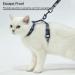 PUPTECK Cat Harness and Leash Set - Escape Proof Adjustable for Small Cats and Puppies - Dark Grey - Buy Online on GoSupps.com