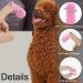4pcs Dog Toothbrush Dog Finger Toothbrush Dog Toothpaste Finger Toothbrush Dog Dog Toothbrush Finger Cat Toothbrush For Dogs Cats And Small Pets Dental Care Easy Dog Teeth Cleaning - Buy Online on GoSupps.com
