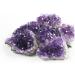 Buy NVZI Amethyst Druse & Crystals | Natural Healing Stones & Geodes (100g) - International Shipping Available - Buy Online on GoSupps.com