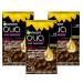 Garnier Olia Permanent hair color without ammonia with nourishing and natural oils complete gray hair cover permanent coloring No. 6.3 caramel brown 3 x 1 piece 6.3 caramel brown (1 Pack)
