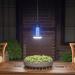 Buy Wueaoa 15W Electric Insect Destroyer with LED Light - 4200V UV Mosquito & Fly Trap for Indoor & Outdoor Use - Effective Insect Control - Buy Online on GoSupps.com