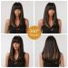 Testar Long Black Wigs for Women | Heat-Resistant Synthetic Wigs with Brown Highlights | Ideal for Cosplay & Daily Wear - Buy Online on GoSupps.com