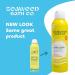 Seaweed Bath Co. Clear Guard SPF 40 Sport Sunscreen Spray 6oz | Broad Spectrum, Seaweed, Aloe, Avocado Oil - Buy Online on GoSupps.com