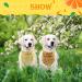 Pawchie Cute Dog Bandana 9 Pack - Cooling Summer Style Scarfs for Pet Puppy Boys & Girls - Soft Triangle Scarfs in Yellow - Buy Online on GoSupps.com