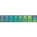 5 Pack Fly Fishing Tapered Leaders - 9' 7.5' 12' 4x - Premium Quality Set - Buy Online on GoSupps.com