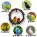 Qeeheng Natural Wood Bird Swing - Circular Hanging Ring with Bell | Parrot Cage Accessories for Nymphensittiche & More - Buy Online on GoSupps.com