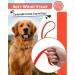 Looxmeer Rubberized Tow Lines for Dogs - 3m to 30m Leashes in Neon Orange | Ideal for Small & Medium Dogs | Durable Practice Lines - Buy Online on GoSupps.com