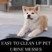 UrineFree - PetFresh - Odor & Stain Remover from any surface Suitable for Carpets Upholstery and Hardwood Floors - for Children Dogs and Cats - Household Uses (4 oz / 118 ml - Pack of 2) - Buy Online on GoSupps.com