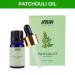 Buy Nykaa Naturals Essential Oil - Patchouli 0.33 oz | Hair Growth Damage Repair & Scar Minimizer - Buy Online on GoSupps.com