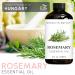 Brooklyn Botany Rosemary & Cinnamon Essential Oils 4 Fl Oz (Pack of 2) 100% Pure & Natural Warming & Herbal Aromatherapy Blend - Buy Online on GoSupps.com
