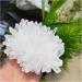 Natural Crystal Rough Natural Crystals Clear Quartz Cluster Freeform Reiki Stones Room Home Office Aquarium Decoration Accessories Gemstone Decoration (Size : 400-500g) - Buy Online on GoSupps.com