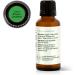 Plant Therapy Lime Steam Distilled Essential Oil 30 mL (1 oz) 100% Pure Undiluted Fresh Scent Mood Boosting Immune Support Lime Steam Distilled 1 Fl Oz (Pack of 1) - Buy Online on GoSupps.com