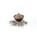 The Green Herbs Organic Bhringraj Powder | 100% Ayurvedic Hair Care | 227gm - Buy Online on GoSupps.com