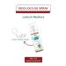 Made For Locs Kids Vegan Locs Aloe Refresher Spray and Locs Oil Bundle Set | Cotton Candy Scent | Lock in Moisture Effortlessly| Kids With Dreadlocks - Buy Online on GoSupps.com