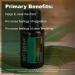 doTERRA Eucalyptus Radiata Essential Oil - 15 mL | Pure & Natural Aromatherapy - Buy Online on GoSupps.com