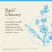 Bach Original Flower Remedies Chicory - Love Unconditionally - Natural Homeopathic Flower Essence for Emotional Balance - Vegan Gluten Free Sugar Free - 20mL Dropper - Buy Online on GoSupps.com