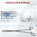 Multipurpose Long Hemostat Forceps with Fully Serrated Jaws Rochester Pean Comes in Stainless Steel for Holding Objects Feeding Reptiles Mechanical Repairs & other Outdoor Activities - 10" STRAIGHT - Buy Online on GoSupps.com