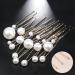 Nilioyul 18x Easy To Wear Hair Accessories For Festival Celebration Any Hairstyle Metal Clip Hair Hairpins Exquisite Lightweight silver needle - Buy Online on GoSupps.com