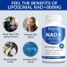 Beravia Health Nad + Supplement Nad Advanced Supplements for Women & Men - With Nicotinamide Resveratro Quercetin Skin & Body Anti-Aging Support - 60 Capsules (2 Bottle) - Buy Online on GoSupps.com
