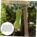 Yardwe 4pcs Shaped Fruit Vegetable Shaping Shaper Small Fruit Multifunction - Buy Online on GoSupps.com