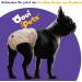 Oouipets Premium Dog & Cat Diapers | Washable No Leak Eco-Friendly | 3-Pack for Puppies (21-24cm) - Comfortable Fuse Pants - Buy Online on GoSupps.com