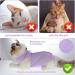 Buy Cobee Professional Recovery Suit for Cats - Size M Purple | Ideal for Abdominal Wounds Skin Diseases & Post-Surgery Care | E-Collars Alternative for Cats & Dogs - Buy Online on GoSupps.com