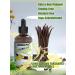Vanilla Bean Essential Oil - Warm Scented Perfume Air Freshener & Candle Making Aroma - 4 Fl Oz - Buy Online on GoSupps.com